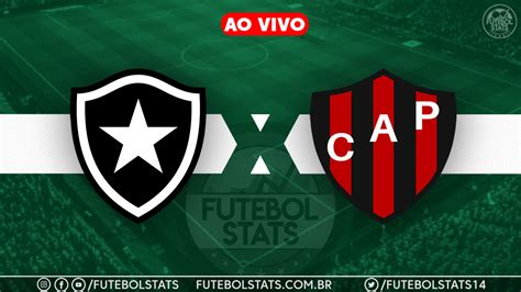 Botafogo x Patronato: onde assistir ao vivo o jogo pela Copa Sul .